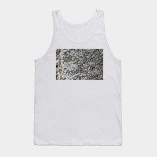 lichen texture Tank Top